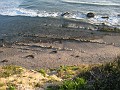 Carpinteria California 2010-02 0660